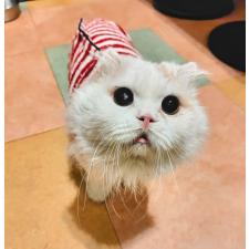 田中善春ブリーダー