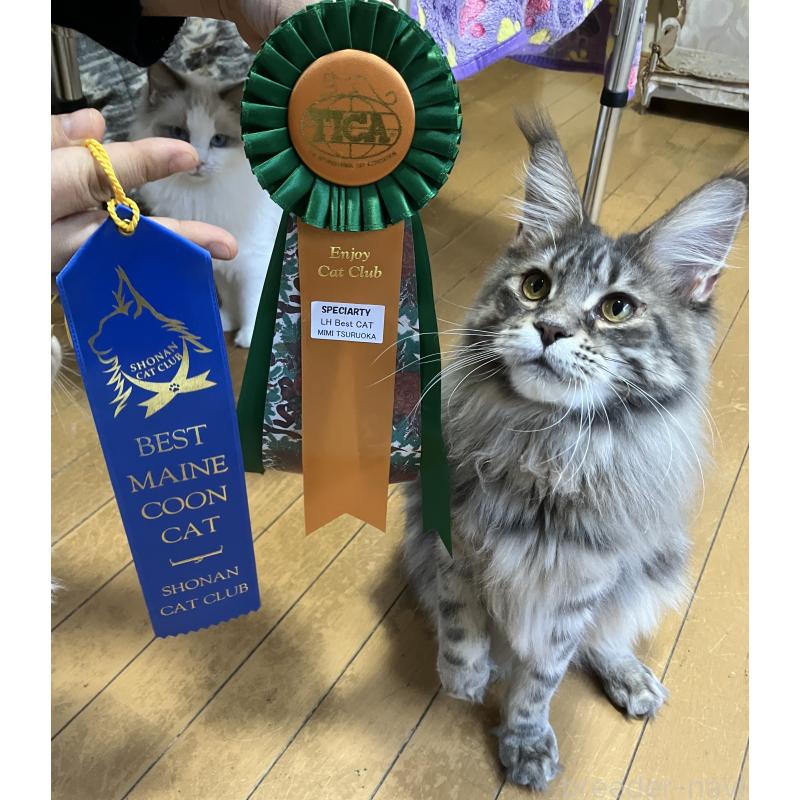 山口泰子ブリーダーの詳細の1枚目