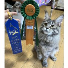 山口泰子ブリーダー