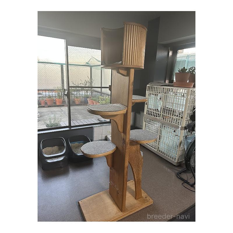 稲葉充ブリーダーの詳細