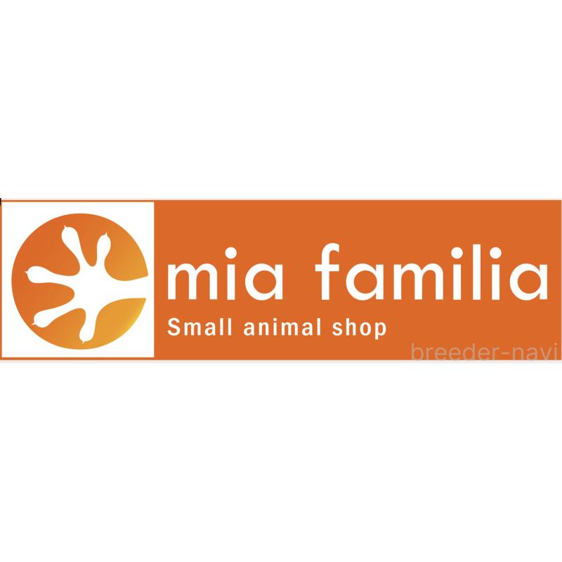 稲田舞ブリーダーの詳細の1枚目