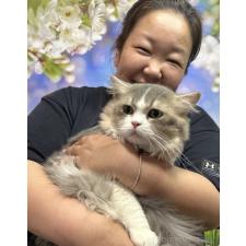 中元梢ブリーダー