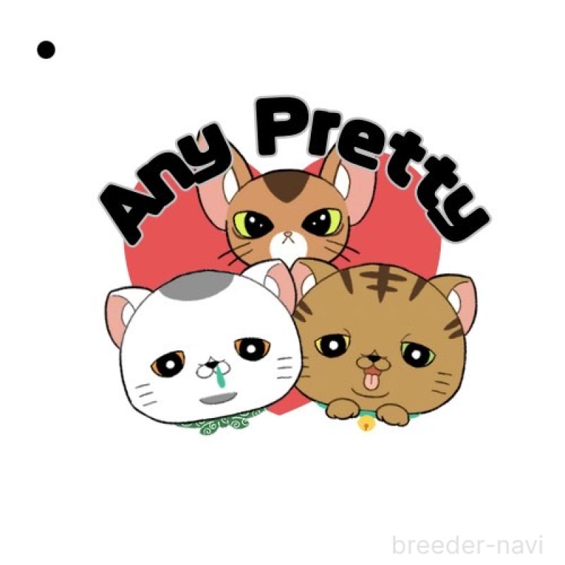 三角良子ブリーダーの詳細の1枚目