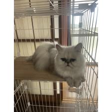 津布久湖南ブリーダー