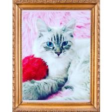 木津秀美ブリーダー