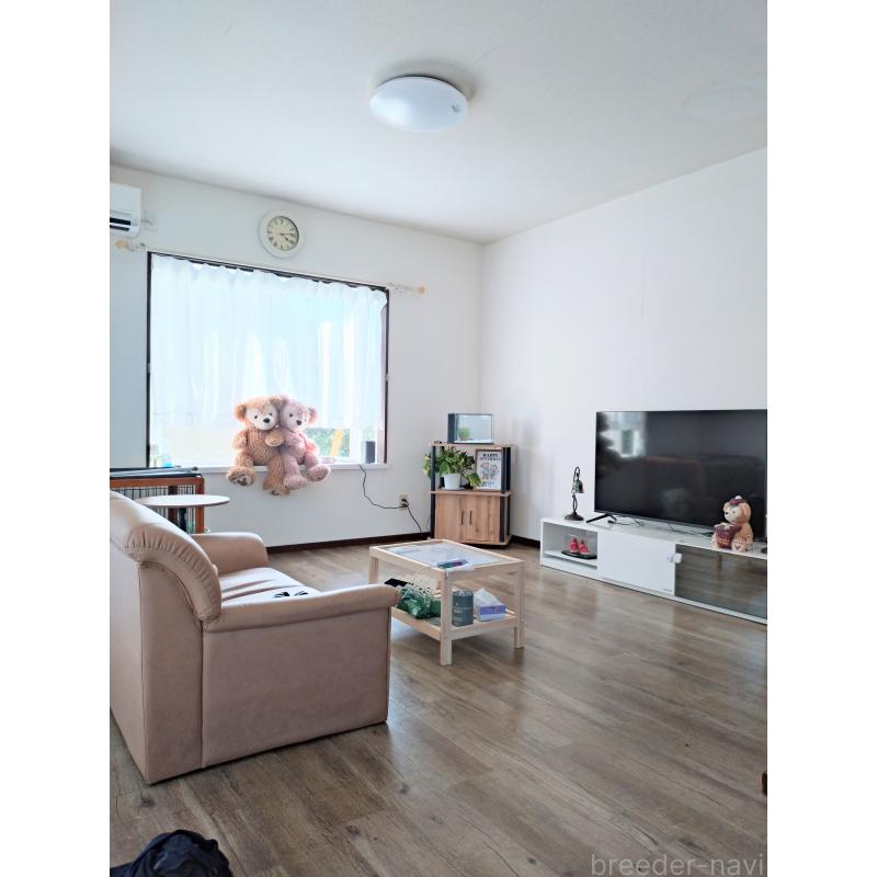 石川景子ブリーダーの詳細