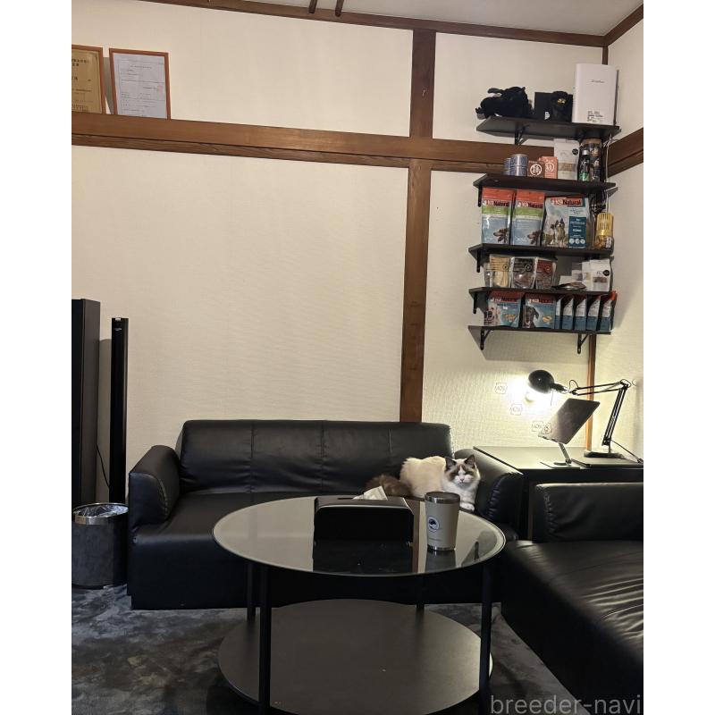 陳可揚ブリーダーの詳細