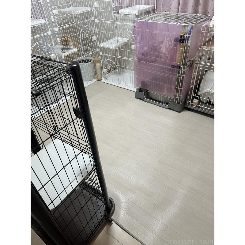 柳田景生ブリーダーの詳細