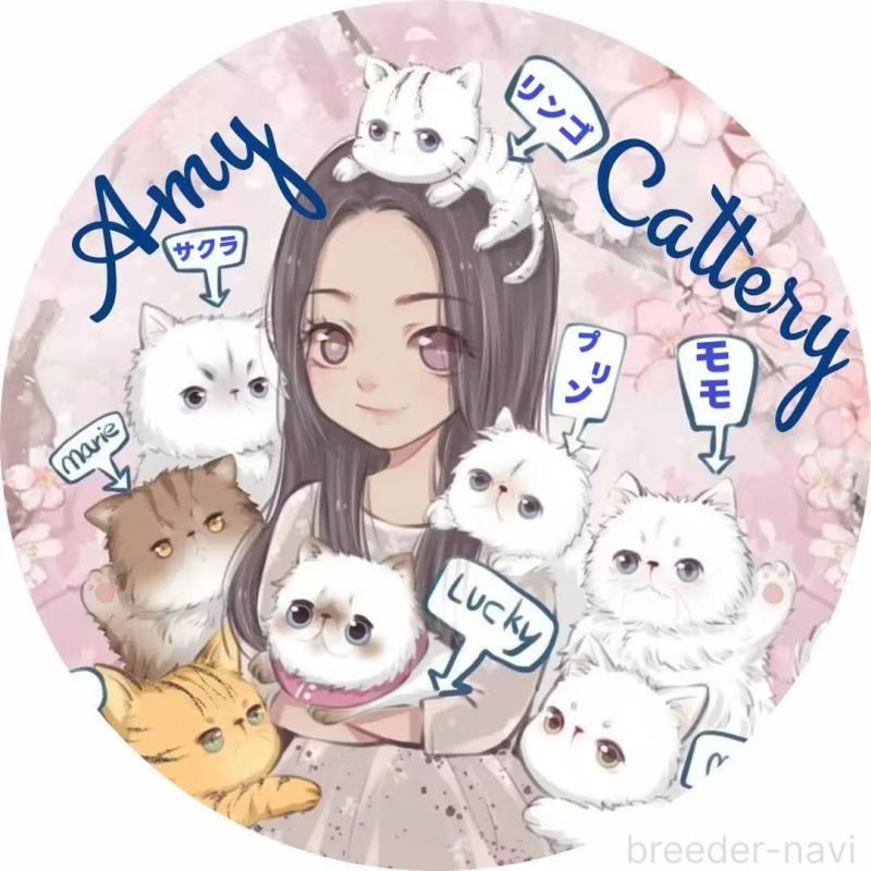 蘭成杰ブリーダーの詳細の1枚目