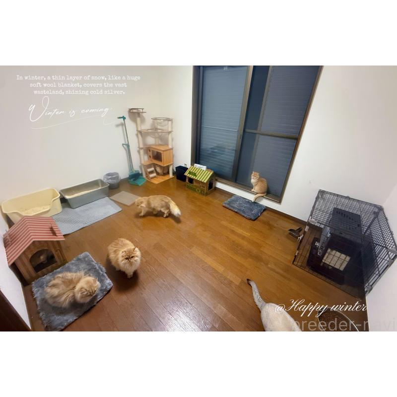 五十嵐雅治ブリーダーの詳細