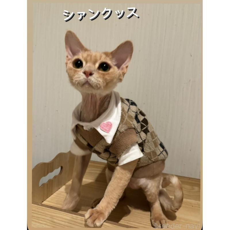 五十嵐雅治ブリーダーの詳細の1枚目