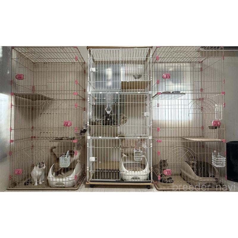 佐藤理沙ブリーダーの詳細