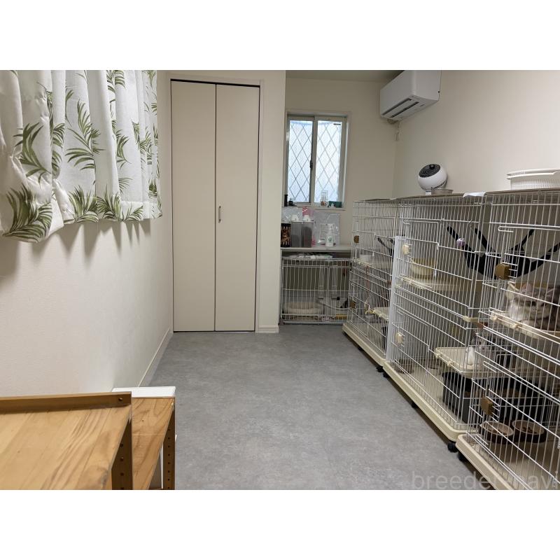 菅原由美ブリーダーの詳細