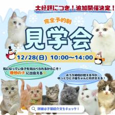 平ほの花ブリーダー