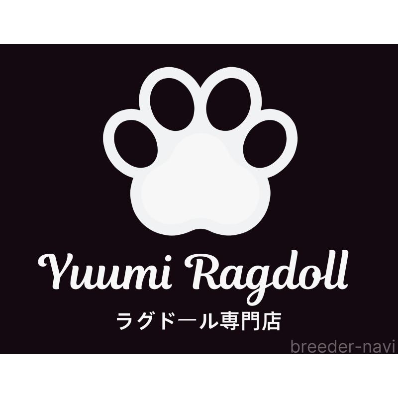 Yuumiラグドールブリーダーの詳細の1枚目