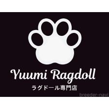 Yuumiラグドールブリーダー