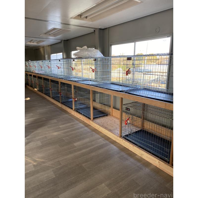 宮崎綾香ブリーダーの詳細