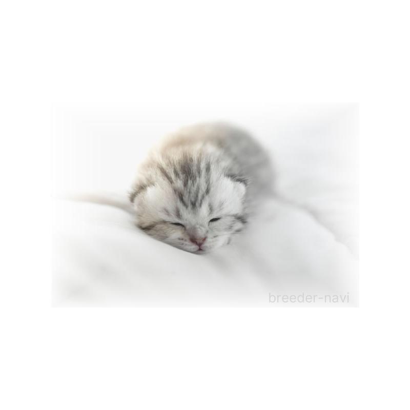 竹内啓二ブリーダーの詳細の1枚目