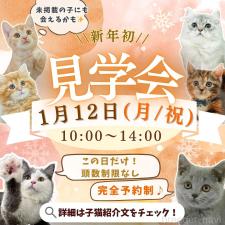 平ほの花ブリーダー