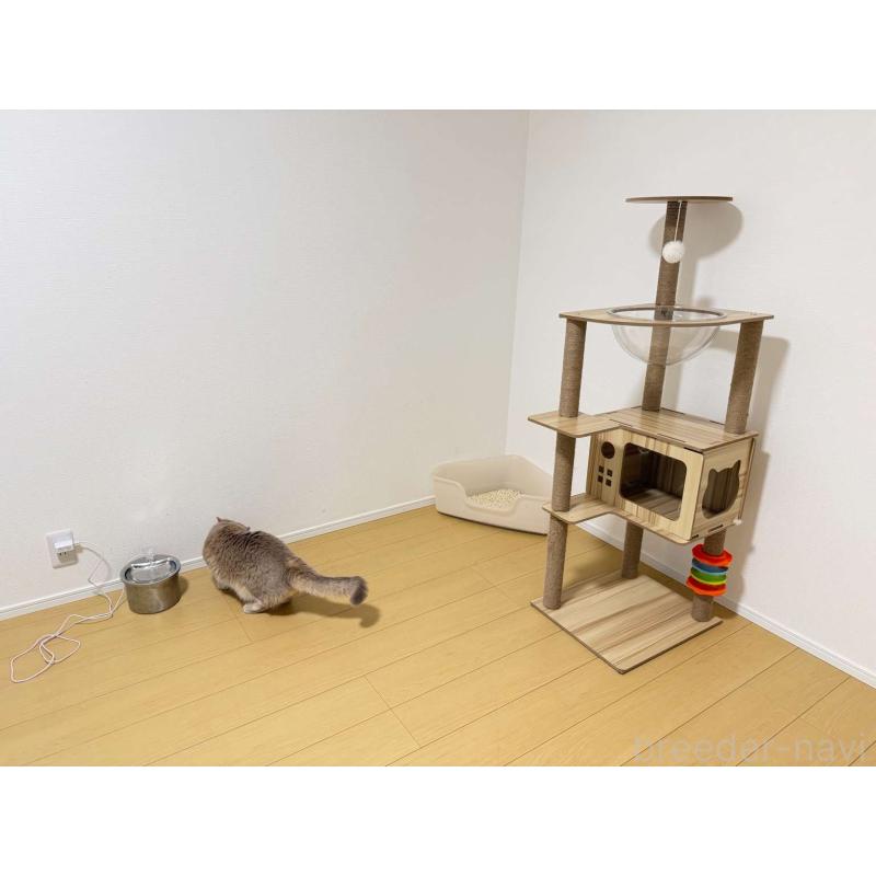 WANGSHENGYUブリーダーの詳細