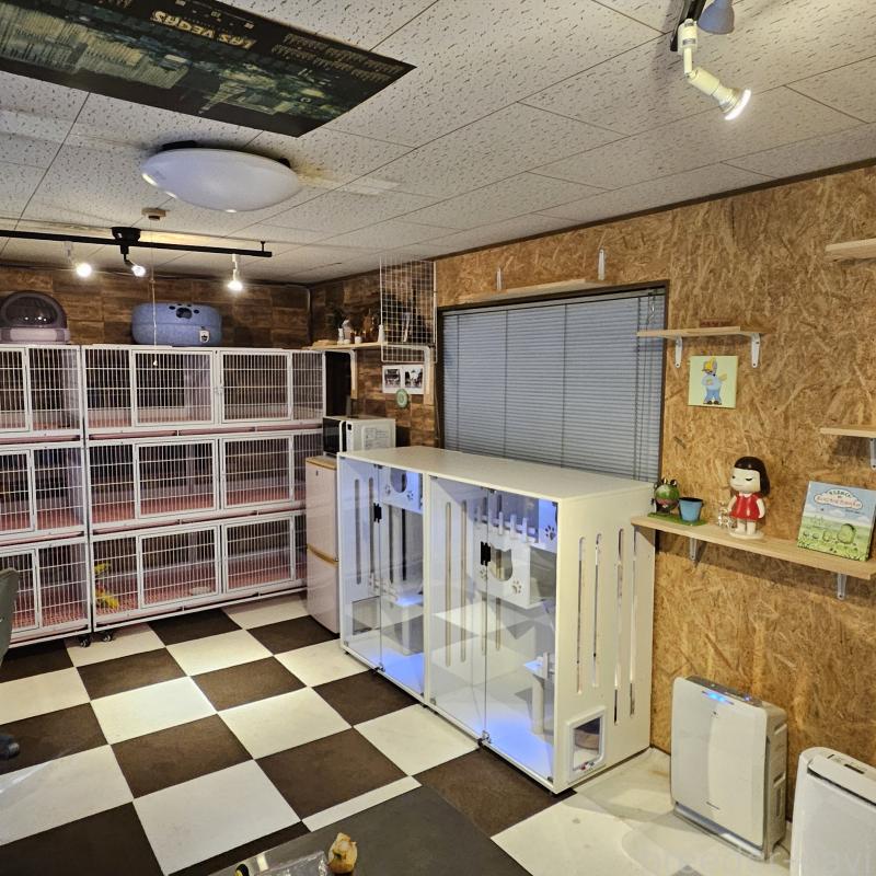 金咲亜依ブリーダーの詳細