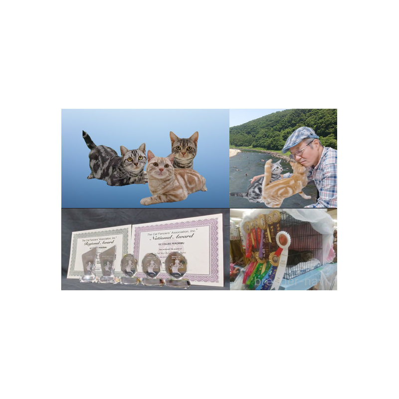 左近昭男ブリーダーの詳細の1枚目