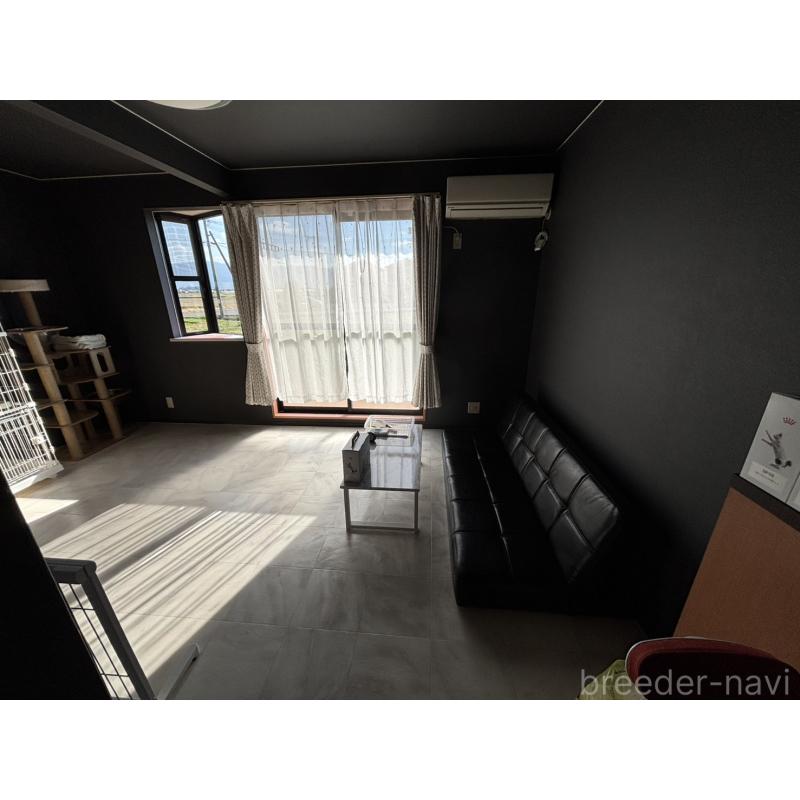 中村綾美ブリーダーの詳細