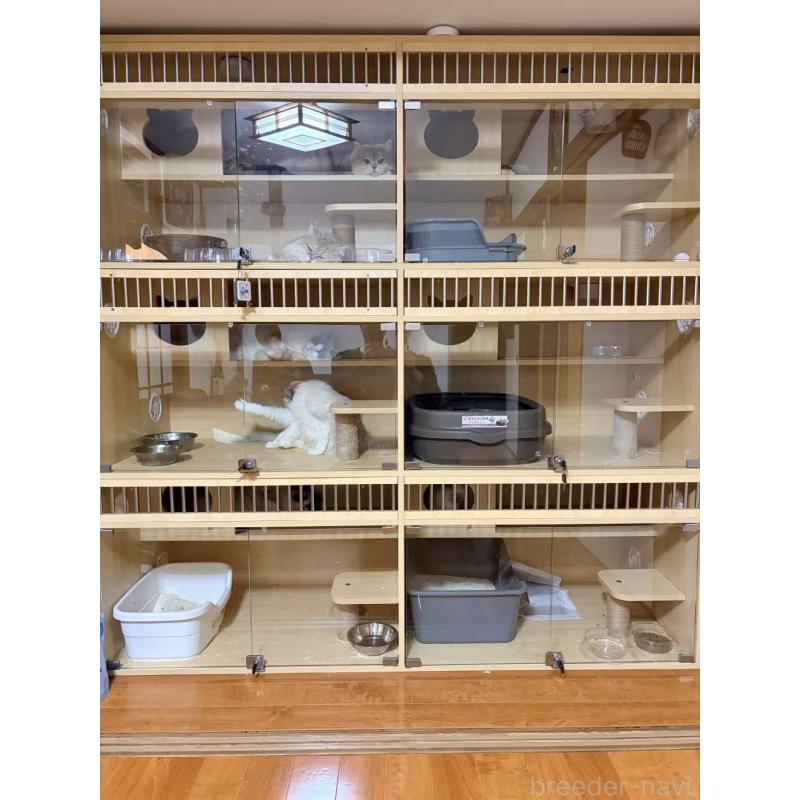 元吉株式会社ブリーダーの詳細