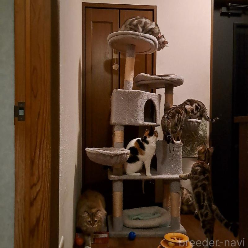 青塚信弘ブリーダーの詳細