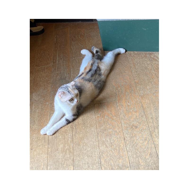 青塚信弘ブリーダーの詳細