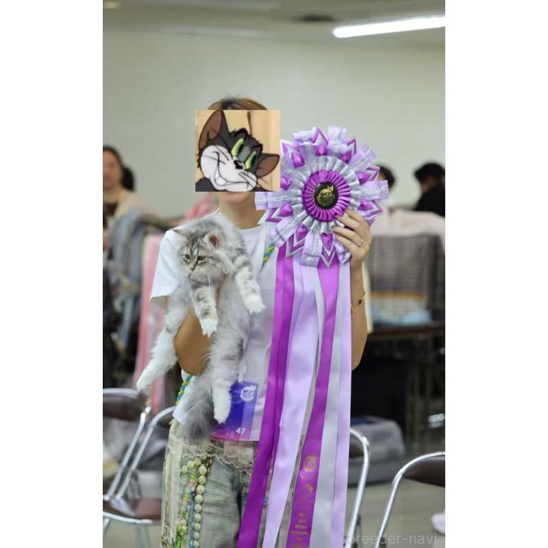 トチコウブリーダーの詳細