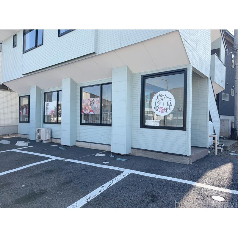 持田みいあブリーダーの詳細