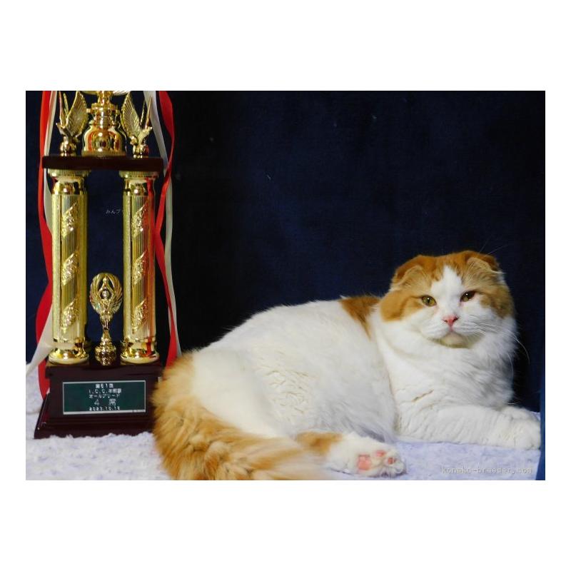 庄司美幸ブリーダーの詳細