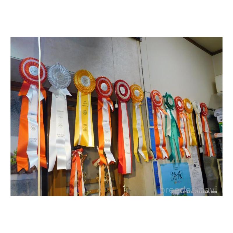 庄司美幸ブリーダーの詳細