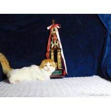 庄司美幸ブリーダー