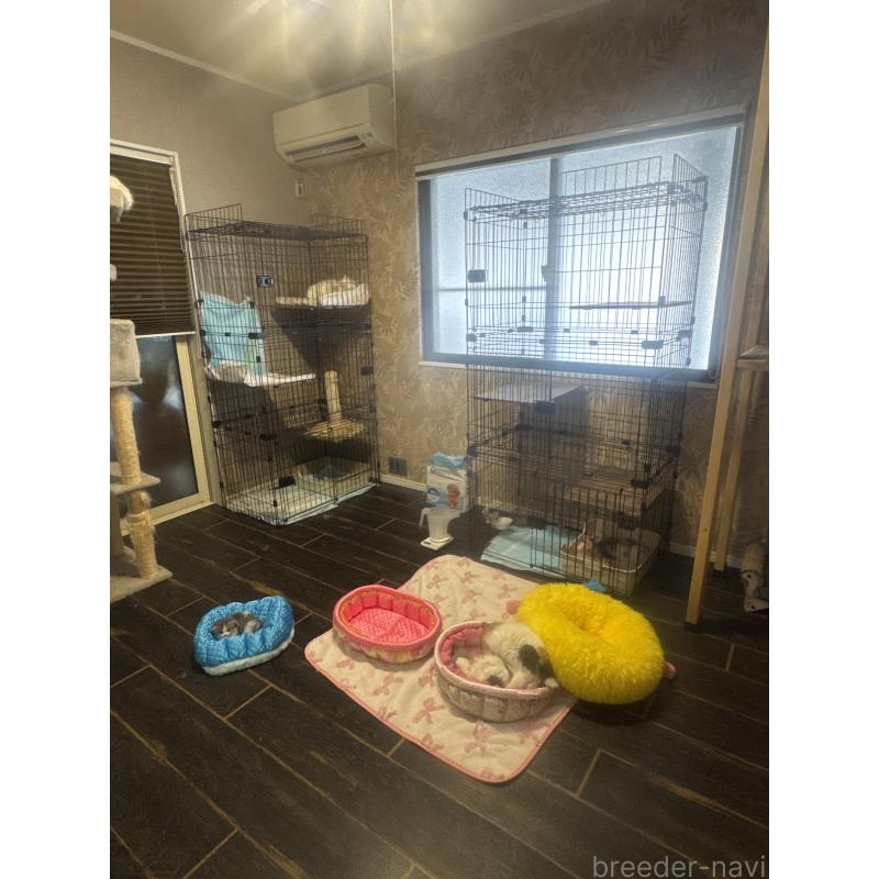 北川尚子ブリーダーの詳細