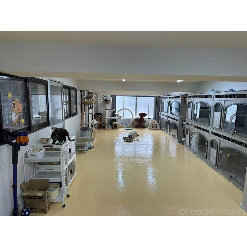 劉倩文ブリーダーの詳細