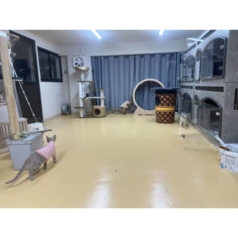 劉倩文ブリーダーの詳細