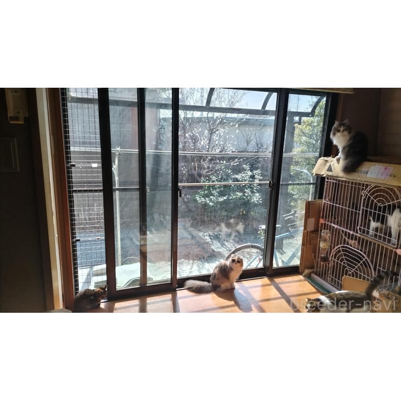 千種那由太ブリーダーの詳細