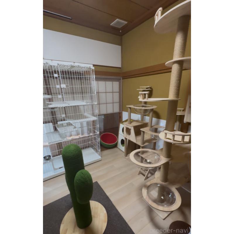 佐々木健ブリーダーの詳細