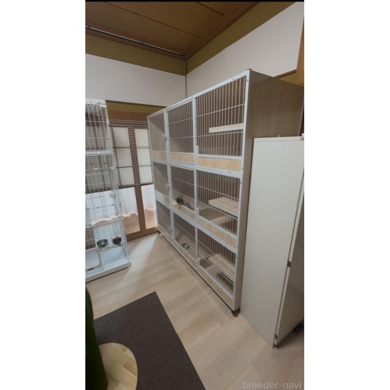 佐々木健ブリーダーの詳細