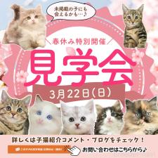 平ほの花ブリーダー