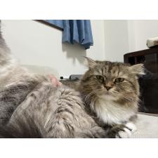 瀧田恵子ブリーダー