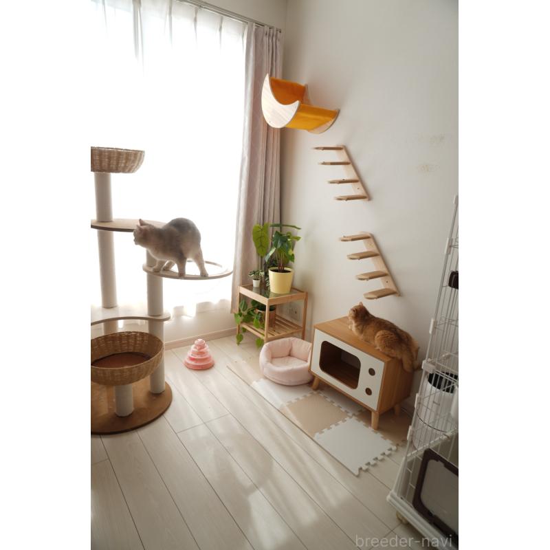 金ハンウルブリーダーの詳細