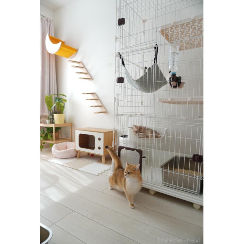 金ハンウルブリーダーの詳細