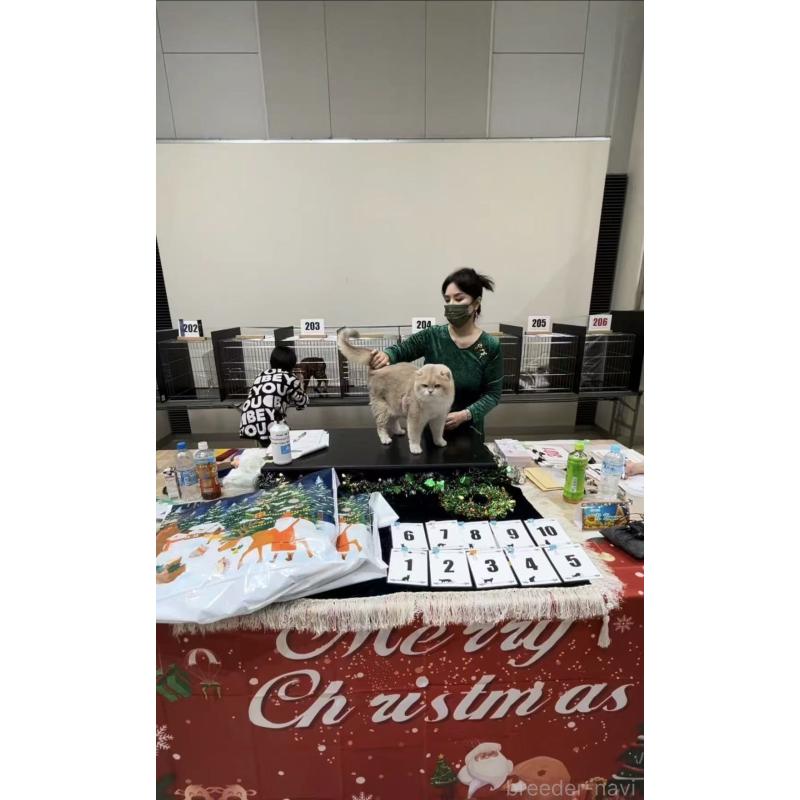 曽楠軒ブリーダーの詳細