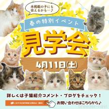 平ほの花ブリーダー