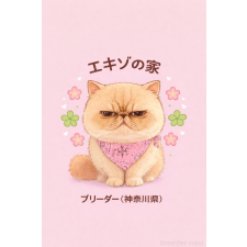 赤川定則ブリーダー