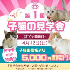 藤本高士ブリーダー