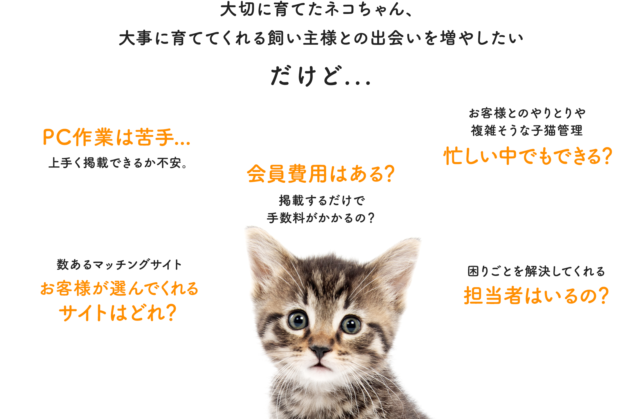 大切に育てたネコちゃん、大事に育ててくれる飼い主様との出会いを増やしたいけど...上手く掲載できるか不安。